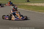 DSC_0234 (2)